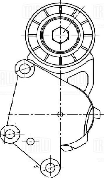 Trialli CM 5729 - Tendicinghia, Cinghia Poly-V autozon.pro