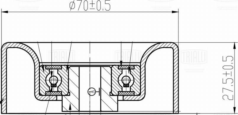 Trialli CM 5776 - Tendicinghia, Cinghia Poly-V autozon.pro