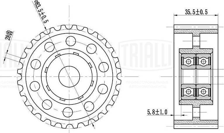 Trialli CM 6192 - Galoppino / Guidacinghia, Cinghia dentata autozon.pro