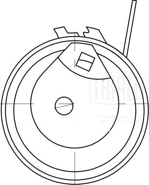 Trialli CM 6108 - Rullo tenditore, Cinghia dentata autozon.pro