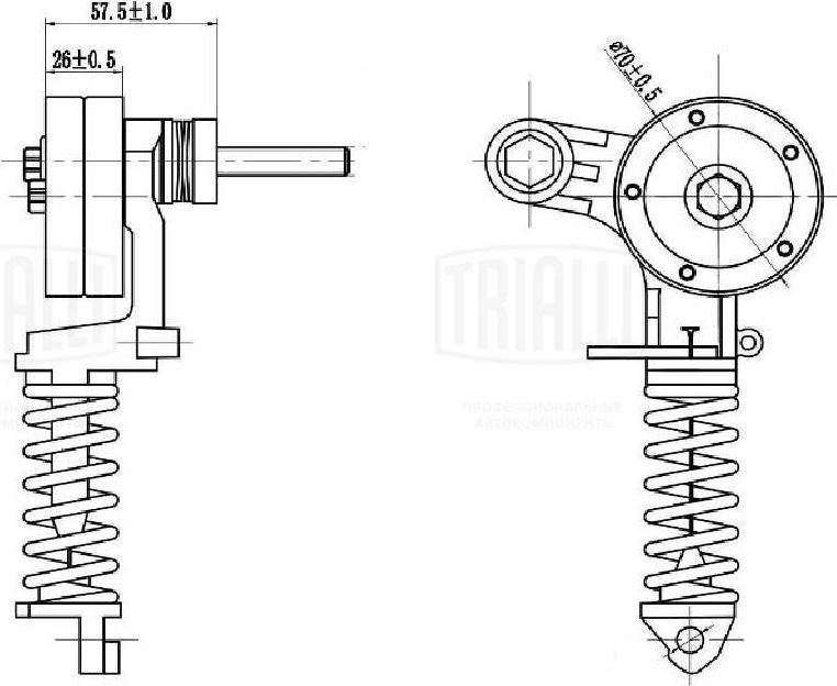 Trialli CM 0508 - Galoppino / Guidacinghia, Cinghia Poly-V autozon.pro