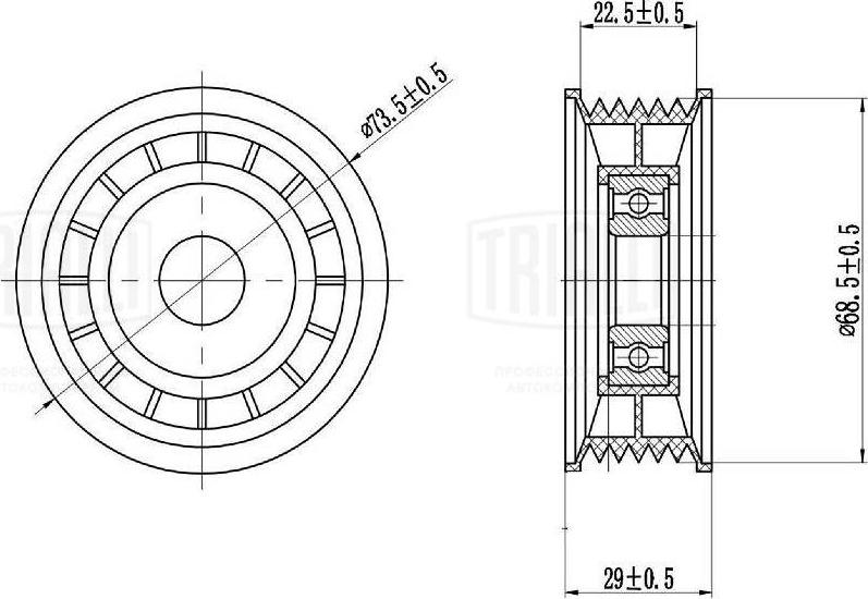 Trialli CM 1006 - Tendicinghia, Cinghia Poly-V autozon.pro