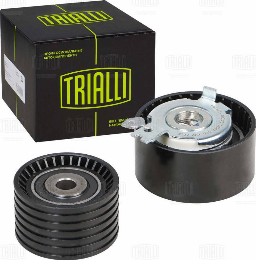 Trialli CM 7702 - Galoppino / Guidacinghia, Cinghia dentata autozon.pro