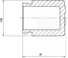 Trialli RCF 012079P - Pistone, Pinza freno autozon.pro