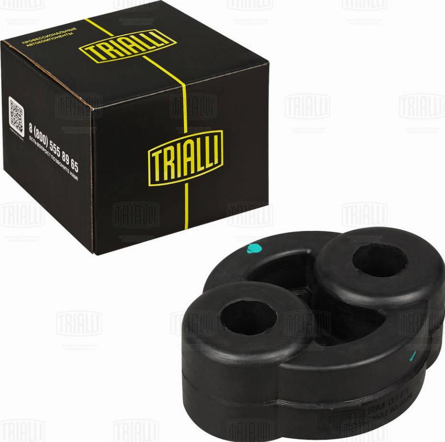 Trialli RM 0171 - Supporto, Imp. gas scarico autozon.pro