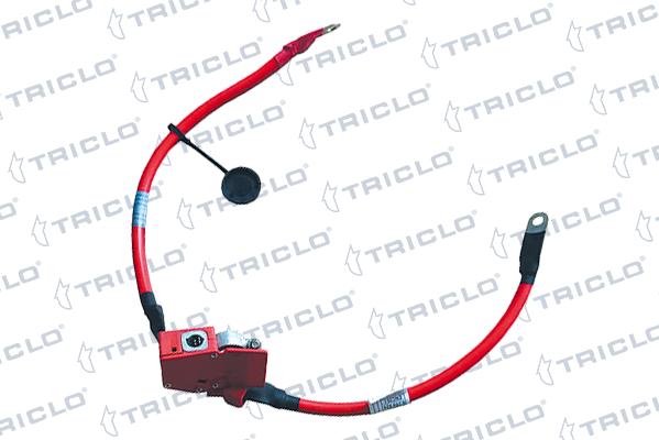 Triclo 972487 - Adattatore batteria autozon.pro