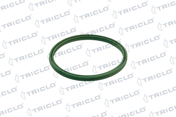 Triclo 442055 - Anello tenuta, Flessibile aria alimentazione autozon.pro