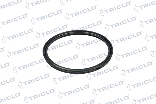 Triclo 442146 - Anello tenuta, Compressore autozon.pro