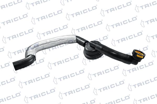 Triclo 416078 - Valvola, Ventilazione carter autozon.pro