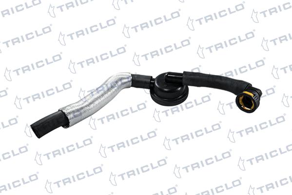 Triclo 416077 - Valvola, Ventilazione carter autozon.pro