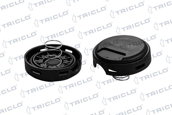 Triclo 416189 - Membrana, Ventilazione monoblocco autozon.pro