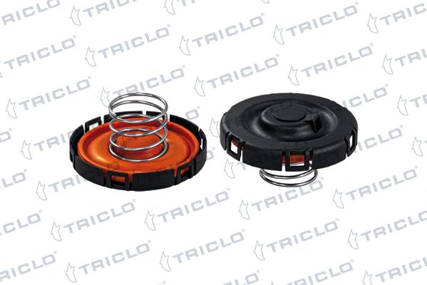 Triclo 412571 - Membrana, Ventilazione monoblocco autozon.pro