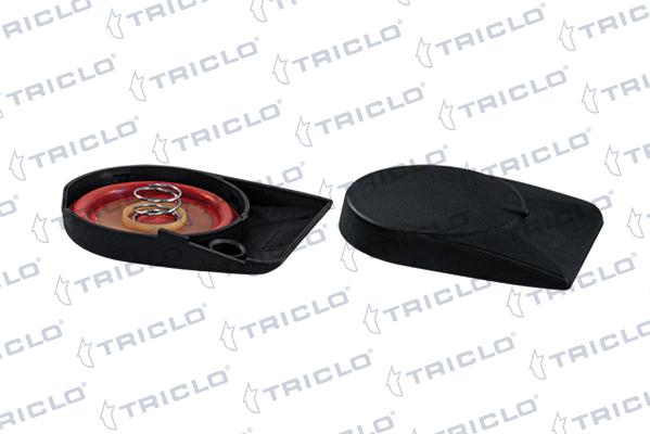 Triclo 412572 - Membrana, Ventilazione monoblocco autozon.pro