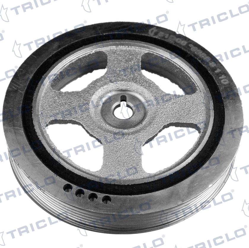 Triclo 426066 - Puleggia cinghia, Albero a gomiti autozon.pro