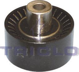 Triclo 421253 - Galoppino / Guidacinghia, Cinghia Poly-V autozon.pro