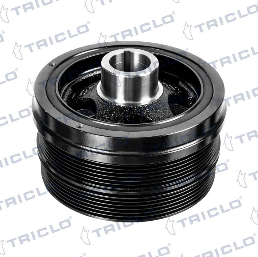 Triclo 422134 - Puleggia cinghia, Albero a gomiti autozon.pro