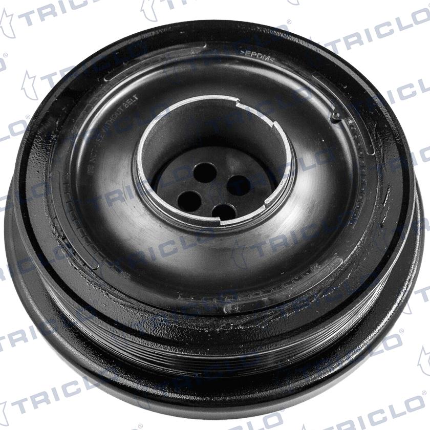 Triclo 422133 - Puleggia cinghia, Albero a gomiti autozon.pro