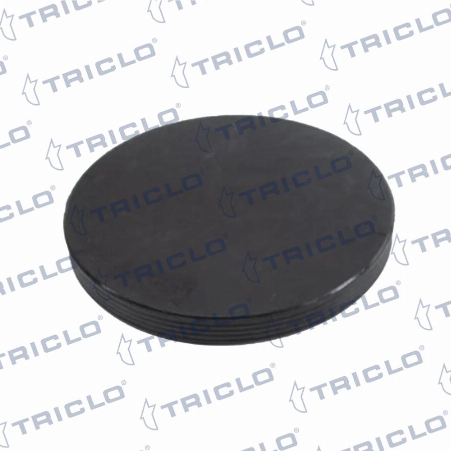 Triclo 427025 - Coperchio di chiusura, Albero a camme autozon.pro