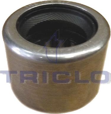 Triclo 625077 - Supporto, Cambio manuale autozon.pro