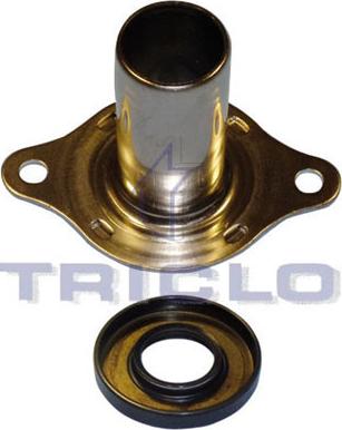 Triclo 622298 - Paraolio, Cambio manuale autozon.pro