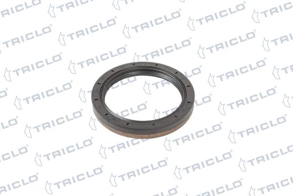 Triclo 672883 - Paraolio, Cambio manuale autozon.pro