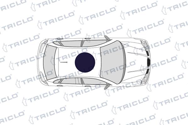 Triclo 143236 - Interruttore, Faro principale autozon.pro