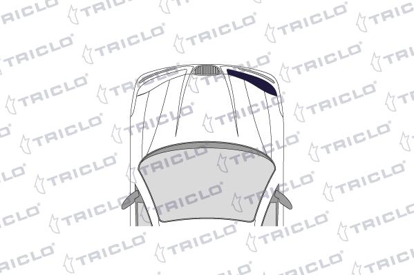 Triclo 190612 - Impianto lavafari autozon.pro