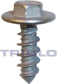 Triclo 161876 - Bullone / Vite autozon.pro