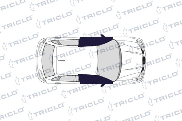 Triclo 131099 - Guida, Pulsante bloccaggio autozon.pro