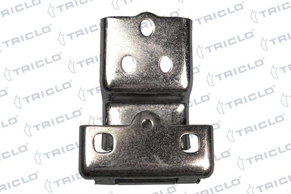 Triclo 134024 - Cerniera portiera autozon.pro