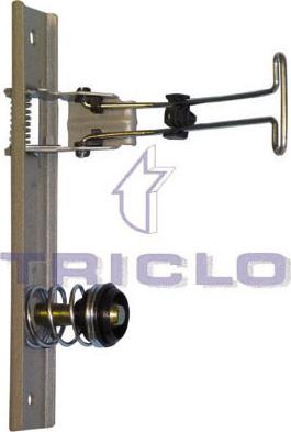 Triclo 135697 - Serrat. cofano motore autozon.pro