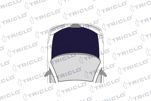 Triclo 190144 - Ugello acqua lavaggio, Pulizia cristalli autozon.pro