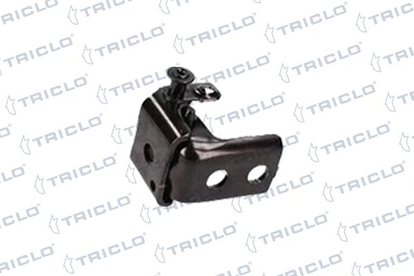 Triclo 131960 - Cerniera portiera autozon.pro