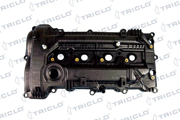 Triclo 396804 - Copritestata autozon.pro