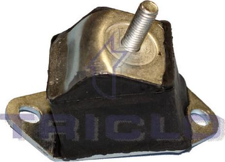 Triclo 365366 - Sospensione, Motore autozon.pro