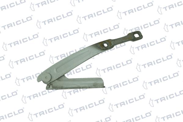 Triclo 205419 - Cerniera, Cofano motore autozon.pro