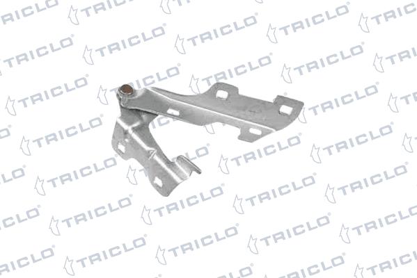 Triclo 205410 - Cerniera, Cofano motore autozon.pro