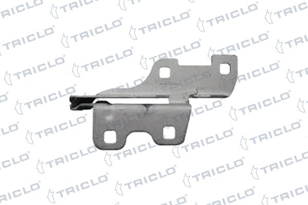 Triclo 205411 - Cerniera, Cofano motore autozon.pro