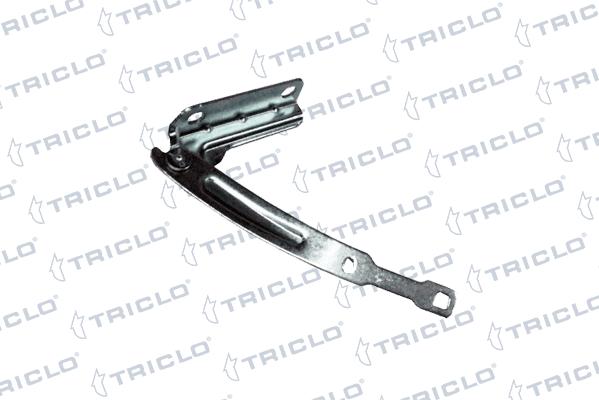 Triclo 205418 - Cerniera, Cofano motore autozon.pro