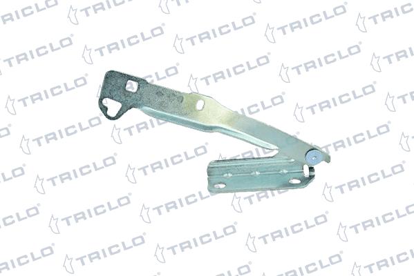 Triclo 205423 - Cerniera, Cofano motore autozon.pro