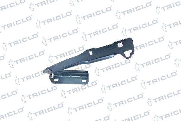 Triclo 205422 - Cerniera, Cofano motore autozon.pro