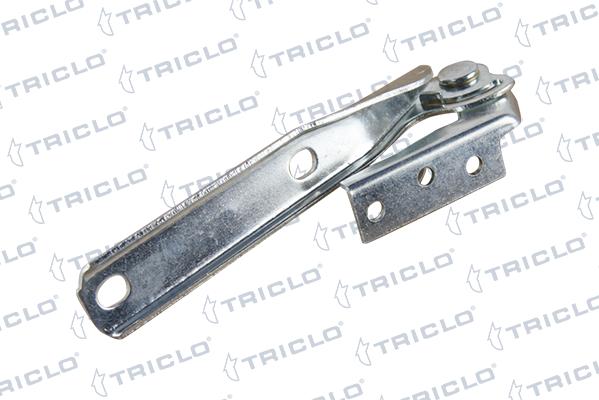 Triclo 203459 - Cerniera, Cofano motore autozon.pro