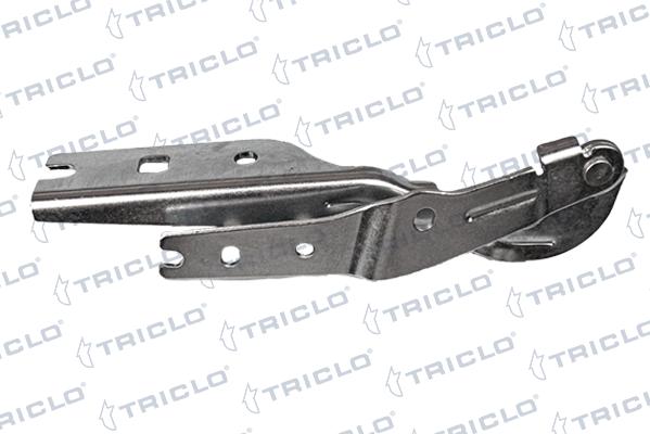 Triclo 203456 - Cerniera, Cofano motore autozon.pro