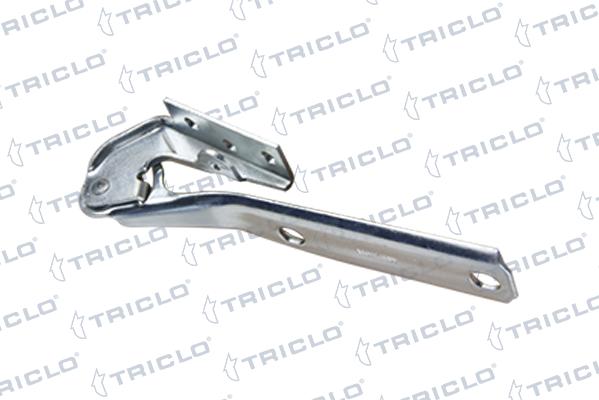 Triclo 203458 - Cerniera, Cofano motore autozon.pro