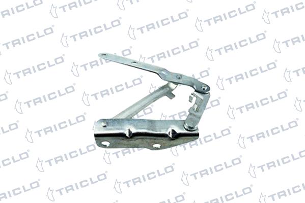 Triclo 203465 - Cerniera, Cofano motore autozon.pro