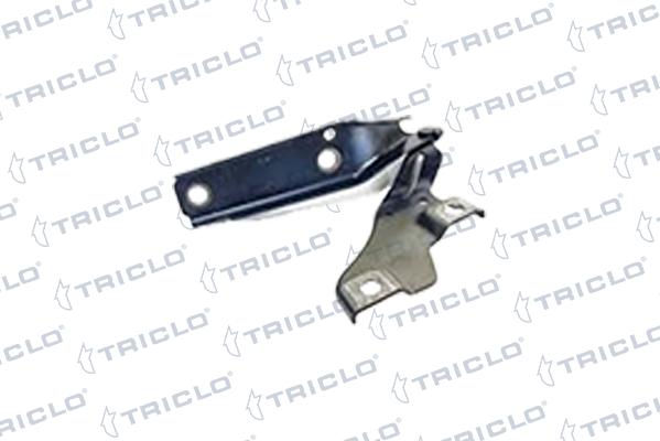 Triclo 203460 - Cerniera, Cofano motore autozon.pro