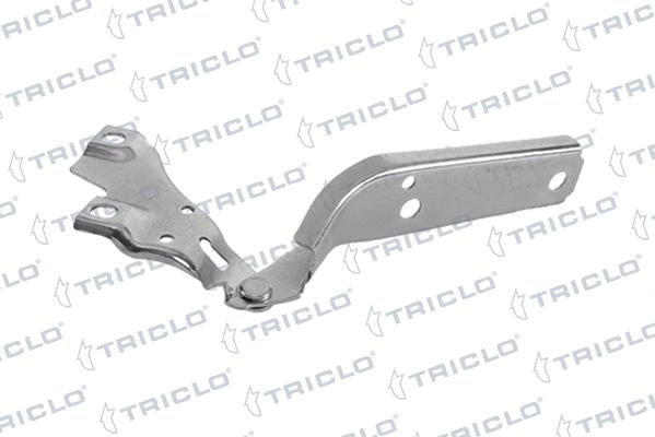 Triclo 203461 - Cerniera, Cofano motore autozon.pro