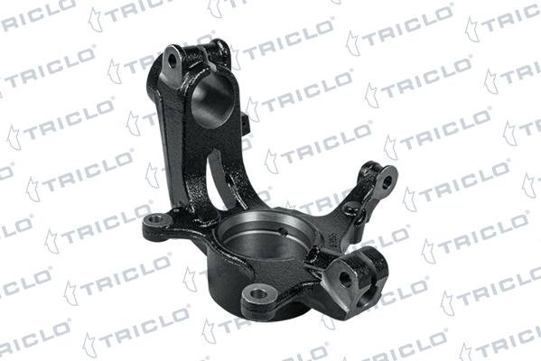 Triclo 765915 - Fuso a snodo, Sospensione ruota autozon.pro