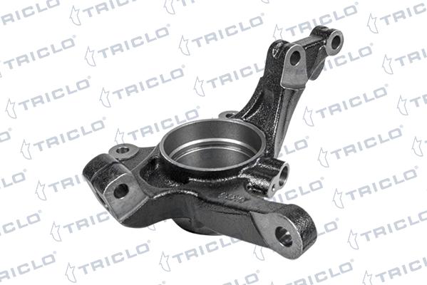 Triclo 766598 - Fuso a snodo, Sospensione ruota autozon.pro