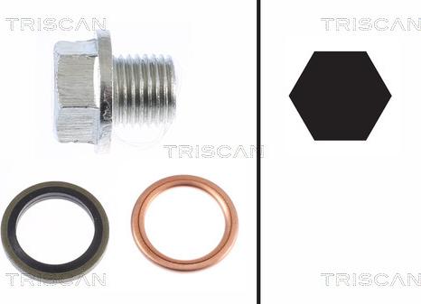 Triscan 9500 1001 - Vite di chiusura, vaschetta dell'olio autozon.pro